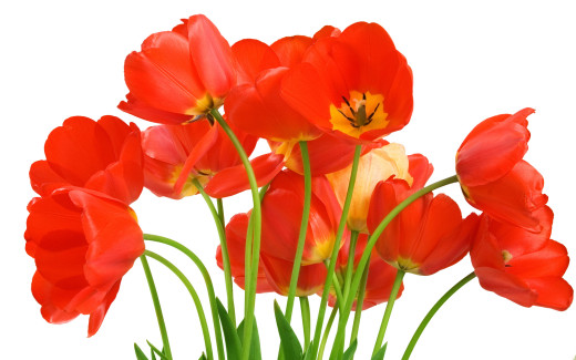 488885 (a): :2560x1600